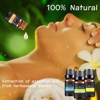 Minyak esensial murni Set minyak esensial alami-6 pak minyak penyebar Aroma berbagai Wewangian