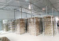 Industriële dehydrator met laag energieverbruik, voedseldehydrator, warmtepompdroger, fruitdroger met dienbladen
