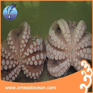 <span class=keywords><strong>Pulpo</strong></span> Entero Congelado, Material Premium <span class=keywords><strong>para</strong></span> Sushi de China, Proceso de Congelación IQF, Certificado HACCP/HALAL, Empaquetado en Bolsa de Polietileno de 10 kg - Product Image 3