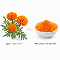 LCHBIO Usine en gros Lutéine 80% HPLC Extrait de Marigot (Tagetes Erecta) CAS 127-40-2 Poudre Naturelle pour le Soutien de la Vision Chine