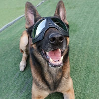 Kacamata Pengaman Transparan Ramah Lingkungan untuk Anjing, Musim Dingin, Musim Panas, Sepeda Motor, Pelindung Kaca Depan, Pengelasan, Pelindung Mata dari Percikan