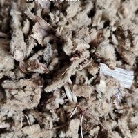 Tongjin Natural Whole Dried Mullein Leaf Verbascum Thapsus Kräuter stängel Wurzeln Gewürz verarbeitung Getrockneter geschnittener Großhandel Raucher tee