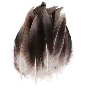 शिल्प कार्निवल पोशाक सहायक उपकरण के लिए 8-15 सेमी 100% प्राकृतिक रंग सस्ते पंख प्लुमास बतख पंख