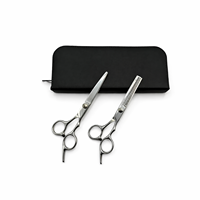 Ensemble professionnel de 2 outils de coiffure, ciseaux à effiler de 6 pouces en acier inoxydable, ciseaux droits pour couper les cheveux