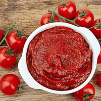 Pâte de tomate 28-30% Brix 2200g Double concentré en conserve Pâte de tomate facile à ouvrir