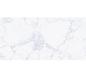 Carreaux de porcelaine pour intérieurs élégants Options de carrelage mural et de sol durables et abordables pour tous les espaces et tous les budgets - Product Image 4