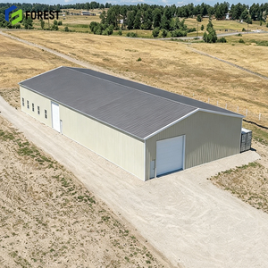 Almacén Logístico Modular de Acero Personalizado, Estructura de Acero de Alta Resistencia, Depósito de Almacenamiento Industrial de Gran Capacidad - Product Image 1