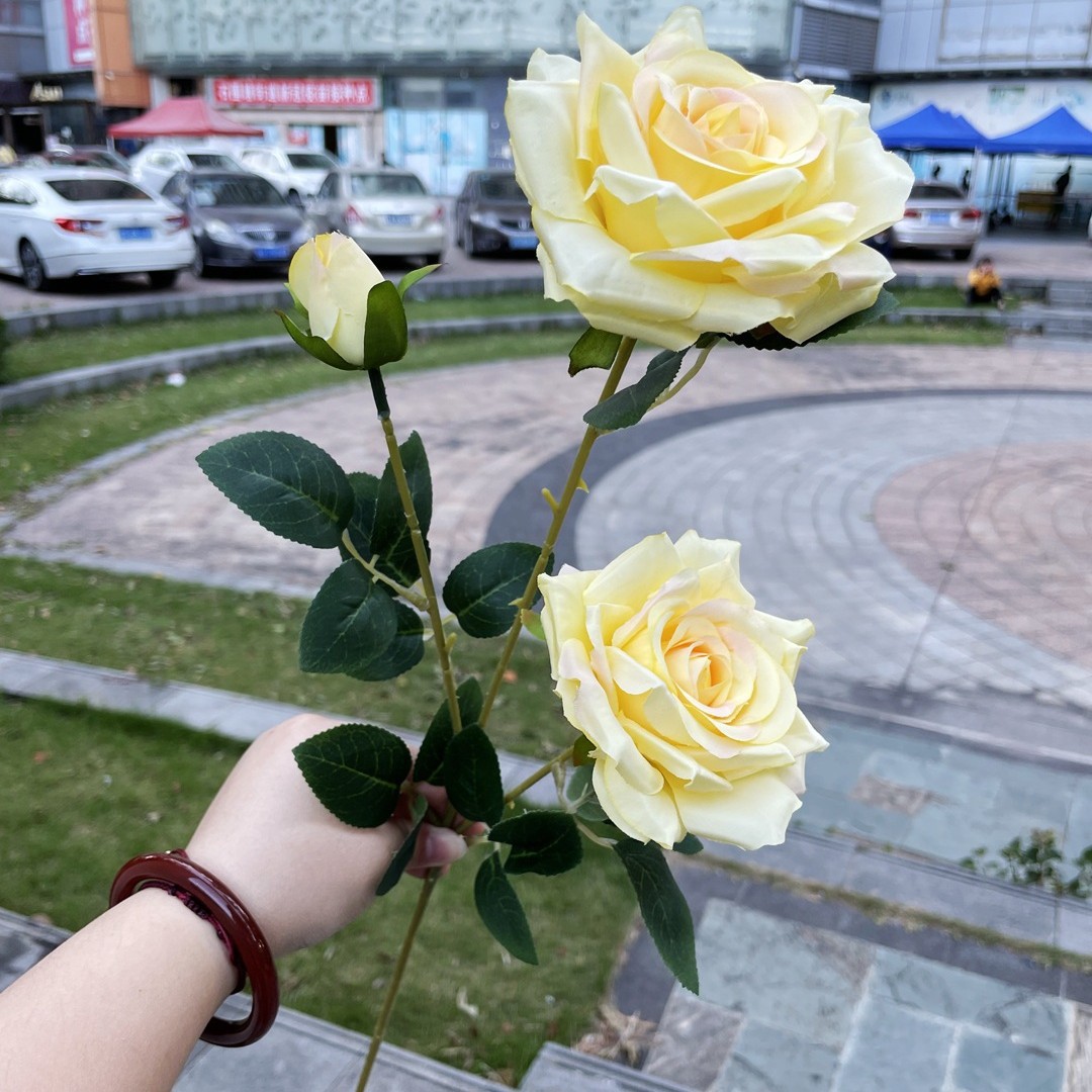 3 têtes diamant rose jaune