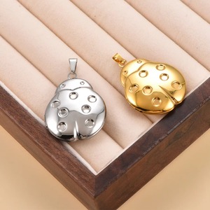 Collier avec pendentif médaillon en acier inoxydable, motif coléoptère mignon, cadre photo ouvrable, chaîne coccinelle, cadeau nostalgique pour la famille - Product Image 3