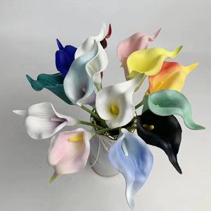 QSLH-CF008 2022 Nouveau Couleurs Pu Artificielle Real Touch <span class=keywords><strong>Calla</strong></span> Callalily Lily Ampoules Gros <span class=keywords><strong>Calla</strong></span> Fleur De Lys pour la Décoration De L'événement - Product Image 1