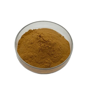 Sıcak satış saf doğal 10:1 <span class=keywords><strong>Angelica</strong></span> Dahurica kök ekstresi anjelika kök ekstresi - Product Image 2