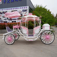 Kereta Labu Pernikahan Mewah Desain Baru, Kereta Cinderella Romantis Bergaya untuk Tamasya, Kereta Labu Listrik