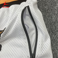 Customized Youth Sports Embroidered Mesh Breathable Basketball Shorts