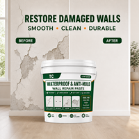 Pâte de réparation murale imperméable et anti-moisissure TC pour fissures, trous, peinture qui se décolle et réparation multi-surfaces des murs intérieurs
