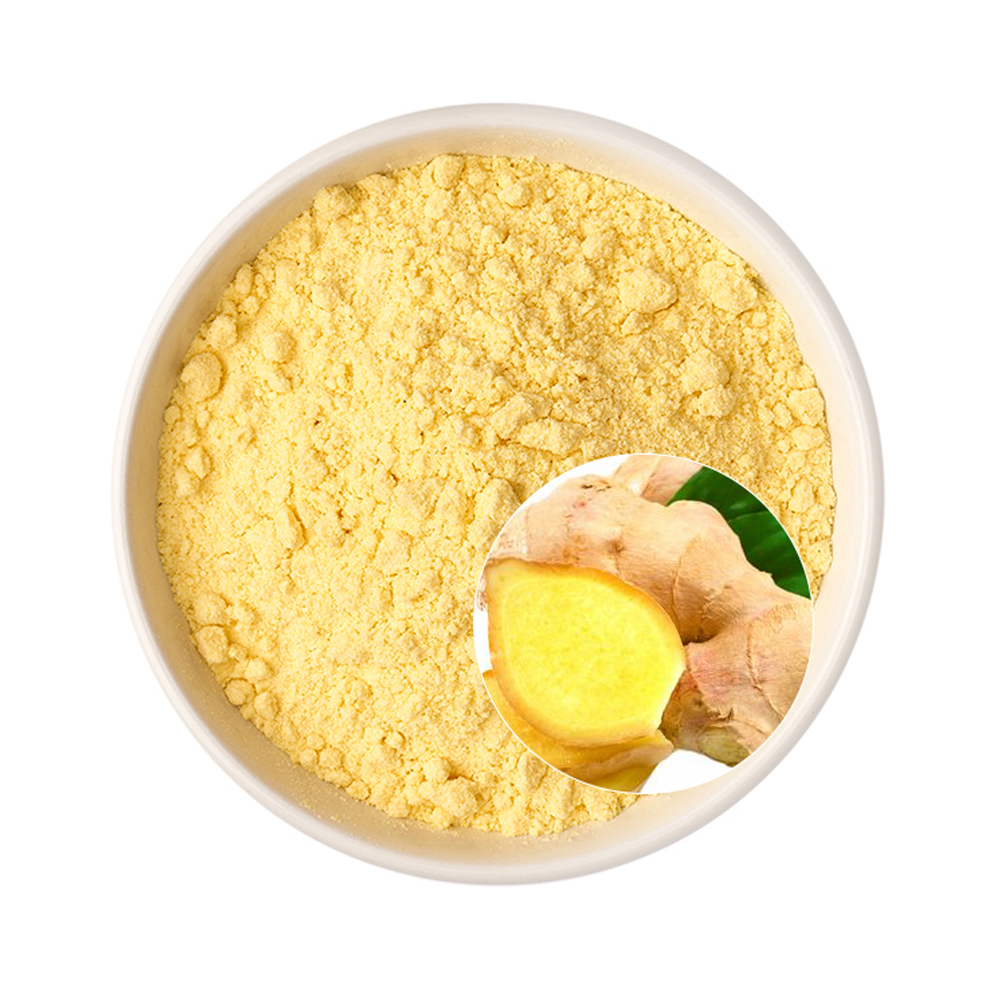 High Quality Ginger Root Extract 5% 10% 15% Gingerol