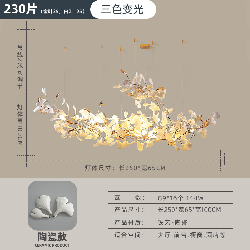 Section b 250 * 65ccm