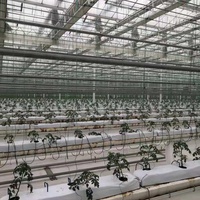 Mini serre de culture hydroponique pour airsoft, plantes hydroponiques de grande efficacité et automatique