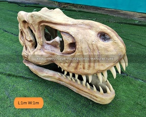 <span class=keywords><strong>Comprar</strong></span> Realista Dinosaurio Fósil Cabeza T-Rex Esqueleto Calavera Réplica PARA LA Decoración del Parque - Product Image 2