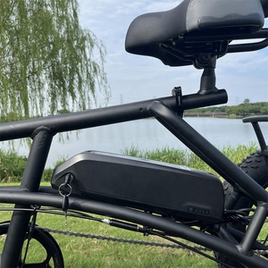 Vélo tricycle <span class=keywords><strong>couché</strong></span> cargo électrique à trois <span class=keywords><strong>roues</strong></span> personnalisé en gros pour la livraison - Product Image 2