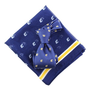 中国制造商大学批发雪纺围巾定制领带蓝金丝织罗缎制服校领带 - Product Image 2
