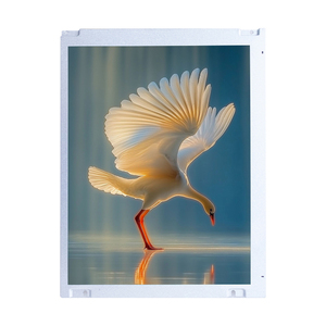 AUO 10.4 นิ้ว TFT LCD แผงจอแสดงผล G104STN01.0 20 พิน ความละเอียด 800x600 สำหรับใช้งานในอุตสาหกรรม - Product Image 4