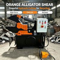 Cisaille hydraulique VANEST à prix abordable pour la découpe de métaux / Cisaille crocodile / Cisaille alligator pour le recyclage des métaux ferrailleux