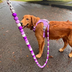 Guinzaglio personalizzato colorato impermeabile cane con perline per cani in PVC morbido Pet guinzaglio Set fascino all'ingrosso - Product Image 5