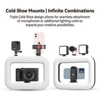 Modern tasarım profesyonel Video ışığı 20W 5V Ra98 el dairesel dolgu ışığı 2 saat pil ömrü LED fotoğraf ışığı