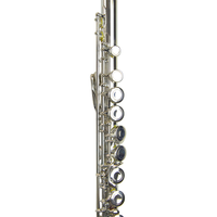 HUAYUN Professional Manufacture Wind Instrument Golden Lacquer Coated Symphony Flute For Formal Concert