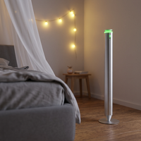 Nouvel Arrivage Diffuseur d'Arômes Électrique Autonome Personnalisable de Luxe pour Hôtels et Usage Domestique, Huile Parfumée Sans Eau 100ml