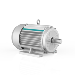 Moteurs électriques industriels asynchrones triphasés haute efficacité 55 kW 75 ch YE4-250M-2 50 Hz 200 V-1140 V Faible bruit 200 V-1140 V en vente - Product Image 1