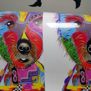 Publicidade <span class=keywords><strong>Posters</strong></span> personalizados Tamanho 60x75cm Outdoor Waterproof Vinyl Wall <span class=keywords><strong>Posters</strong></span> Serviço de impressão Adesivo 24x36 Poster Prints - Product Image 5