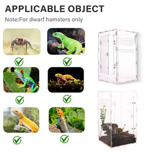Boîte à tarentule magnétique transparente 20x20x35cm acrylique classique simple Terrarium réservoir d'insectes <span class=keywords><strong>Cages</strong></span> pour animaux de compagnie pour animaux de compagnie - Product Image 6