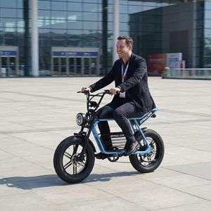 <span class=keywords><strong>Vélo</strong></span> <span class=keywords><strong>électrique</strong></span> personnalisé en couleur, prix direct usine avec options <span class=keywords><strong>de</strong></span> logo OEM, idéal pour les foires commerciales et les réunions d'acheteurs - Product Image 5