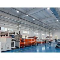 Machine d'extrusion de géomembranes 3D pour drainage, géomembranes composites, fabrication directe par le fabricant