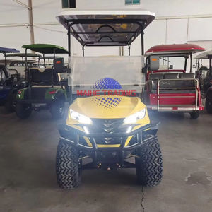 Carrito de Golf Eléctrico Bronco de Lujo, Diseño Nuevo 2025, Venta al Por Mayor - Product Image 1