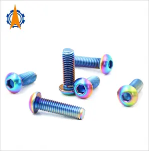 ISO7380 Gr2 Gr5 Titanium torx Screw hexagon socket button head dome head mushroom head GR5 titanium screws bolts