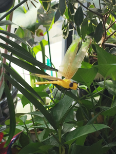 Libellula palo colorato da giardino pali per interni arredamento esterno - Product Image 2