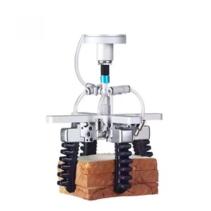 Pinza Neumática de Tacto Suave Directo de Fábrica, Pinza Flexible, Dedo Artificial, Pinza de Cabeza Robótica Suave, Ventosa Robótica - Product Image 1