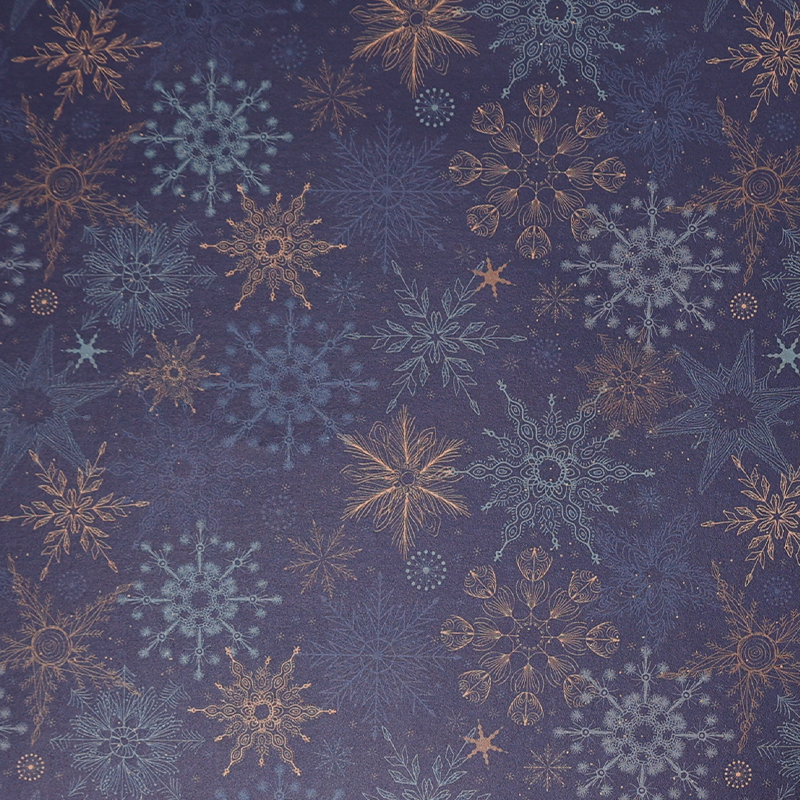 Référence: BDS12398