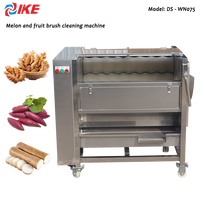 Prix usine automatisé brosse rouleau gingembre pomme de terre carotte lavage polissage épluchage alimentaire Machine fruits Machine