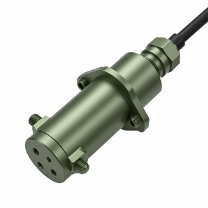 Sensor de Nivel Sumergible para Tanque de Agua GLT500 RS485 Modbus 0-200m - Product Image 1