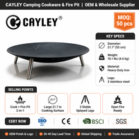 Barbecue portable CAYLEY pour le camping en plein air, foyer à bois pour la cuisson en extérieur