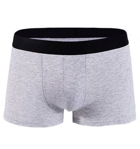 กางเกงในชายแบบยืดได้ บ็อกเซอร์บรีฟเนื้อนุ่ม TRUNK - Product Image 1
