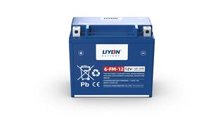 <span class=keywords><strong>Batterie</strong></span> de <span class=keywords><strong>moto</strong></span> Liyon Chine <span class=keywords><strong>12V</strong></span> <span class=keywords><strong>17Ah</strong></span> sans entretien, haute puissance, cycle profond, pour motos de grande taille - Product Image 2
