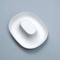 Produits en pulpe de canne à sucre moulée sur mesure et durables 2026