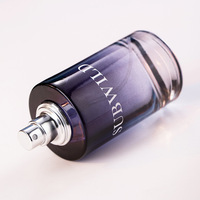 Wilderness pour Homme 100ml Eau de Toilette Classique Notes Boisées Épicées Parfum Longue Durée Spray de Parfum pour Homme Luxe et Tendance