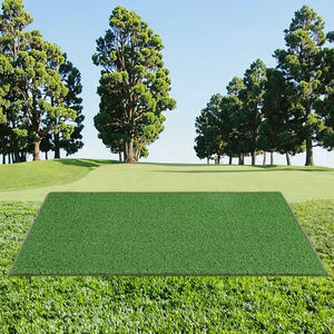 カーリーゴルフカーペットグラススポーツ人工植物造園および芝用 - Product Image 1