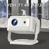 Projecteur 4K H713 à succès, 800 Lumens, 1+8G, Android 13, 120 Pouces, Auto-focus, Lampe LED, Portable, pour Intérieur