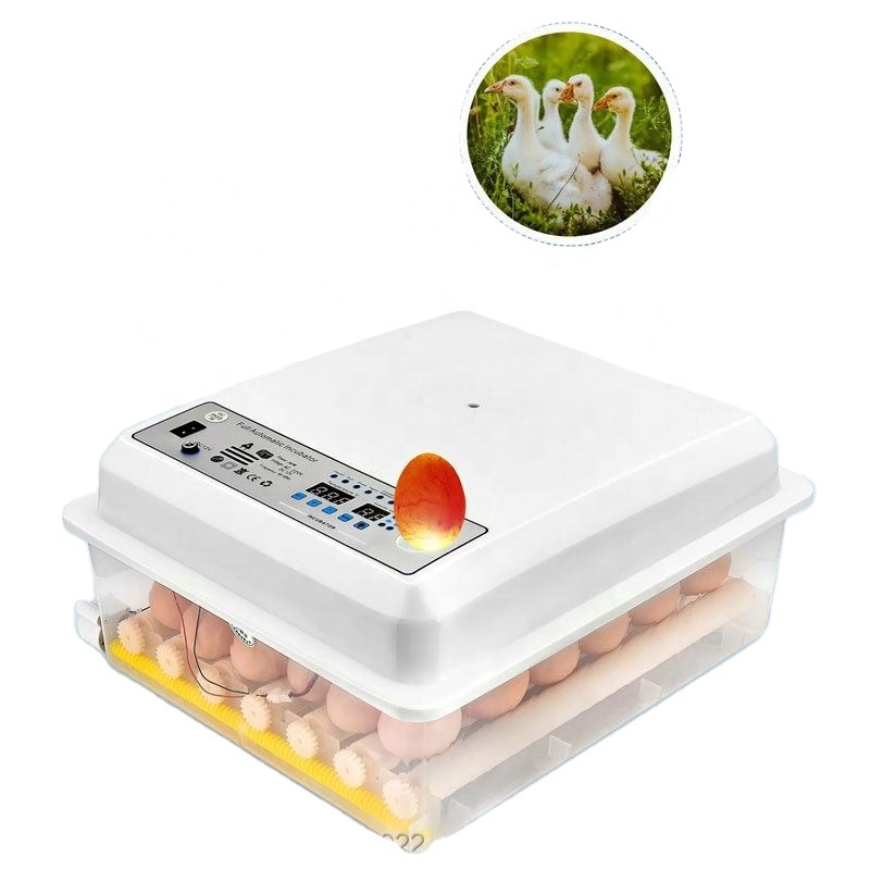 Fhq ld lx i intelligent incubator controller. Инкубатор мини-брудер. Инкубатор на 16 яиц. Automatic agg incubato. Egg incubator.